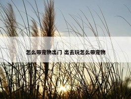 怎么带宠物出门 出去玩怎么带宠物