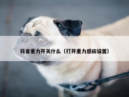 抖音重力开关什么（打开重力感应设置）