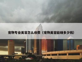 宠物专业美容怎么收费（宠物美容能赚多少钱）