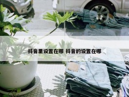 抖音里设置在哪 抖音的设置在哪