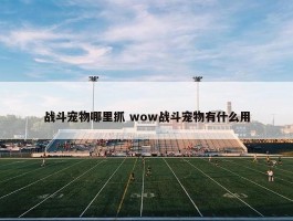 战斗宠物哪里抓 wow战斗宠物有什么用