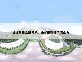 dnf宠物会饿死吗，dnf宠物饿了怎么办