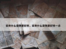 家养什么宠物更好养，家养什么宠物更好养一点