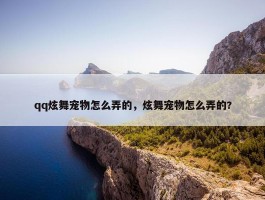 qq炫舞宠物怎么弄的，炫舞宠物怎么弄的?