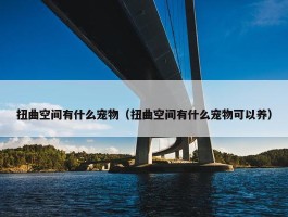 扭曲空间有什么宠物（扭曲空间有什么宠物可以养）