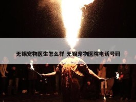 无锡宠物医生怎么样 无锡宠物医院电话号码