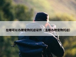 在哪可以办理宠物托运证件（去哪办理宠物托运）