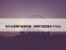 为什么宠物打疫苗好痛（宠物打疫苗是为了什么）