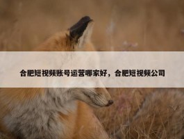 合肥短视频账号运营哪家好，合肥短视频公司