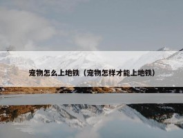 宠物怎么上地铁（宠物怎样才能上地铁）