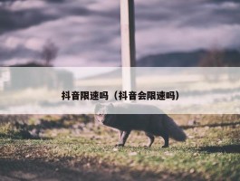 抖音限速吗（抖音会限速吗）