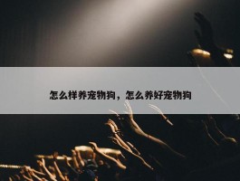 怎么样养宠物狗，怎么养好宠物狗