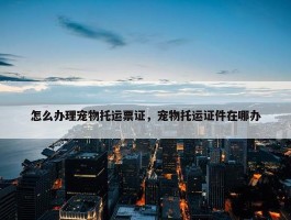 怎么办理宠物托运票证，宠物托运证件在哪办