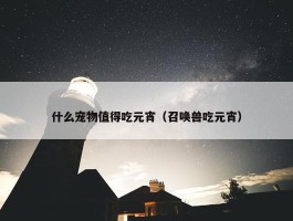 什么宠物值得吃元宵（召唤兽吃元宵）