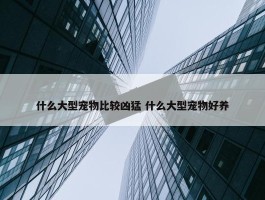 什么大型宠物比较凶猛 什么大型宠物好养