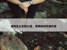 宠物怎么练到18星，宠物如何快速升级