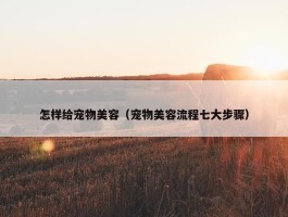 怎样给宠物美容（宠物美容流程七大步骤）