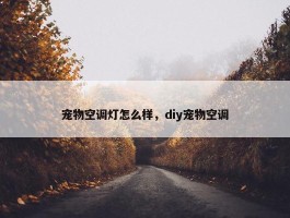 宠物空调灯怎么样，diy宠物空调