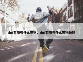 dnf召唤带什么宠物，dnf召唤带什么宠物最好