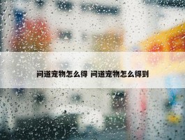 问道宠物怎么得 问道宠物怎么得到