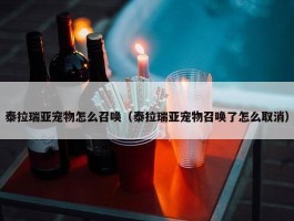 泰拉瑞亚宠物怎么召唤（泰拉瑞亚宠物召唤了怎么取消）