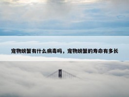 宠物螃蟹有什么病毒吗，宠物螃蟹的寿命有多长