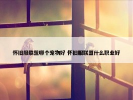 怀旧服联盟哪个宠物好 怀旧服联盟什么职业好