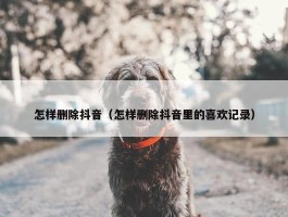 怎样删除抖音（怎样删除抖音里的喜欢记录）