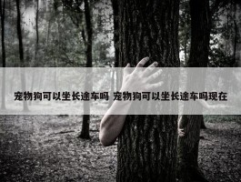 宠物狗可以坐长途车吗 宠物狗可以坐长途车吗现在