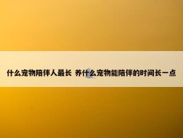 什么宠物陪伴人最长 养什么宠物能陪伴的时间长一点