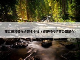 丽江短视频代运营多少钱（短视频代运营公司简介）