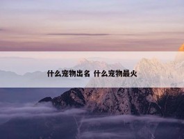 什么宠物出名 什么宠物最火