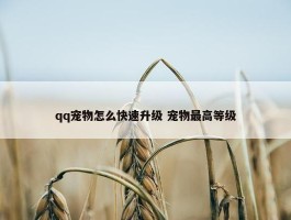 qq宠物怎么快速升级 宠物最高等级