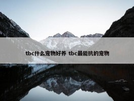 tbc什么宠物好养 tbc最能抗的宠物