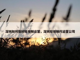 深圳如何做好短视频运营，深圳短视频代运营公司