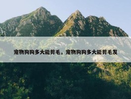 宠物狗狗多大能剪毛，宠物狗狗多大能剪毛发