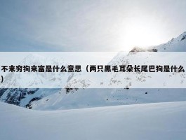 不来穷狗来富是什么意思（两只黑毛耳朵长尾巴狗是什么）