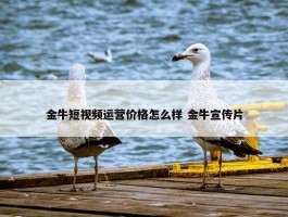 金牛短视频运营价格怎么样 金牛宣传片