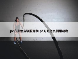 pc方舟怎么驯服宠物 pc方舟怎么驯服动物