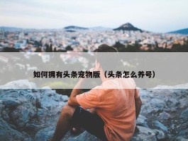 如何拥有头条宠物版（头条怎么养号）