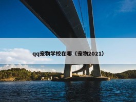 qq宠物学校在哪（宠物2021）