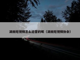 湖南短视频怎么运营的呢（湖南短视频协会）