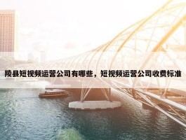 陵县短视频运营公司有哪些，短视频运营公司收费标准