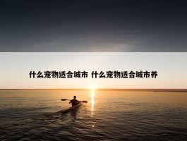 什么宠物适合城市 什么宠物适合城市养