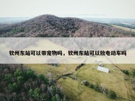 钦州东站可以带宠物吗，钦州东站可以放电动车吗