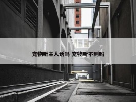 宠物听主人话吗 宠物听不到吗