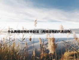 什么两栖动物好养耐活（两栖动物的代表动物）