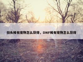 街头稀有宠物怎么获得，DNF稀有宠物怎么获得