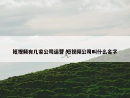 短视频有几家公司运营 短视频公司叫什么名字