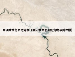 禁闭求生怎么把宠物（禁闭求生怎么把宠物带到二楼）